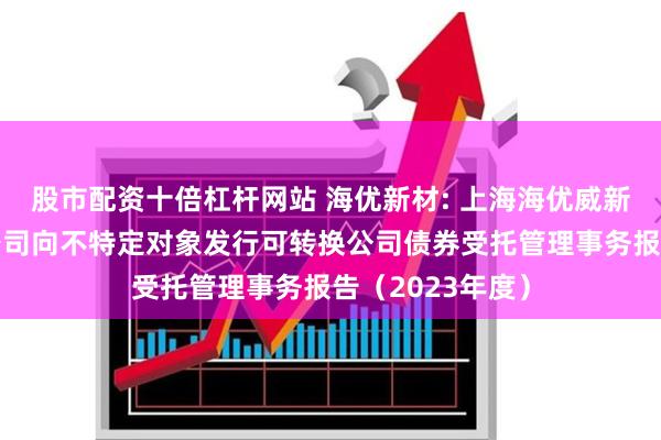 股市配资十倍杠杆网站 海优新材: 上海海优威新材料股份有限公司向不特定对象发行可转换公司债券受托管理事务报告（2023年度）
