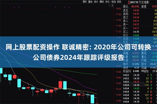 网上股票配资操作 联诚精密: 2020年公司可转换公司债券2024年跟踪评级报告
