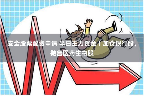 安全股票配资申请 半日主力资金丨加仓银行股，抛售医药生物股