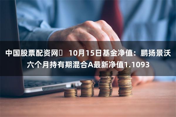 中国股票配资网	 10月15日基金净值：鹏扬景沃六个月持有期混合A最新净值1.1093