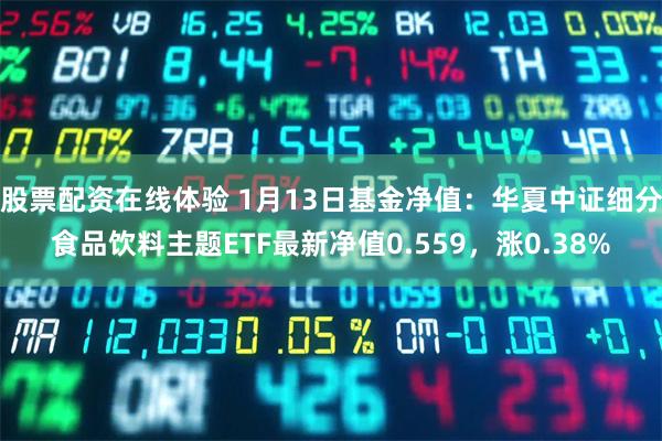 股票配资在线体验 1月13日基金净值：华夏中证细分食品饮料主题ETF最新净值0.559，涨0.38%