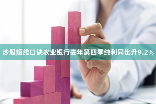 炒股短线口诀农业银行去年第四季纯利同比升9.2%