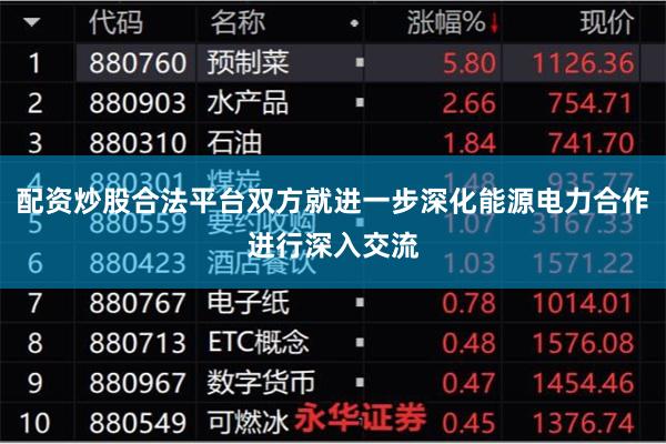 配资炒股合法平台双方就进一步深化能源电力合作进行深入交流